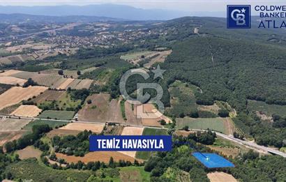 İZMİT AMBARCI'DA SATILIK 4285M2 TARLA