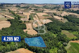 İZMİT AMBARCI'DA SATILIK 4285M2 TARLA