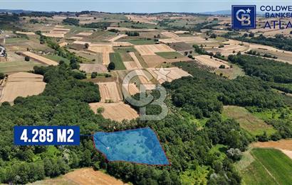 İZMİT AMBARCI'DA SATILIK 4285M2 TARLA