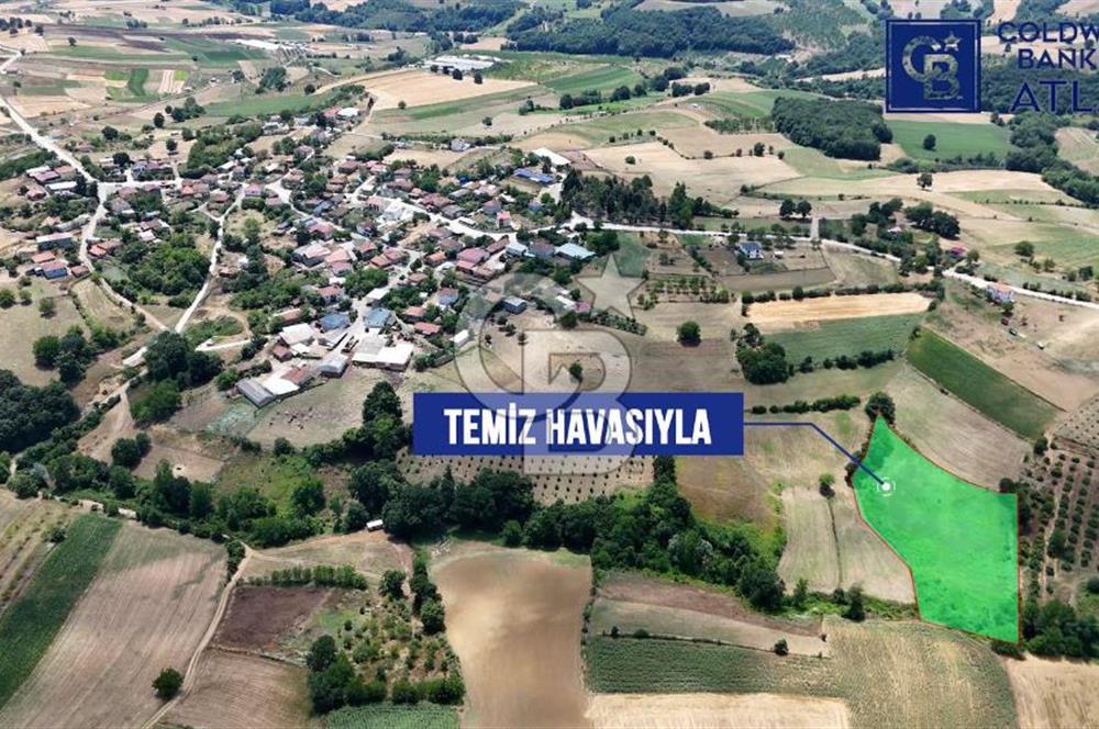 İZMİT YENİCE'DE SATILIK 4809M2 TARLA