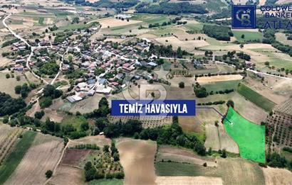 İZMİT YENİCE'DE SATILIK 4809M2 TARLA