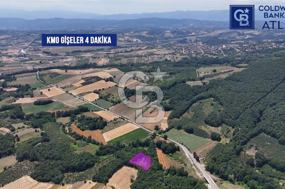 İZMİT AMBARCI'DA SATILIK 4285M2 TARLA