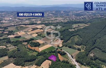İZMİT AMBARCI'DA SATILIK 4285M2 TARLA