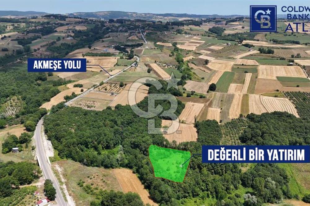 İZMİT AMBARCI'DA SATILIK 4285M2 TARLA