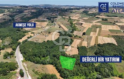 İZMİT AMBARCI'DA SATILIK 4285M2 TARLA