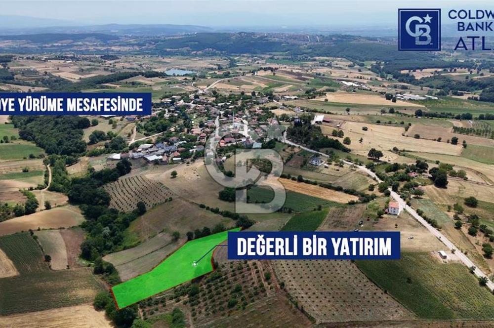 İZMİT YENİCE'DE SATILIK 4809M2 TARLA