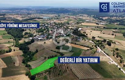 İZMİT YENİCE'DE SATILIK 4809M2 TARLA