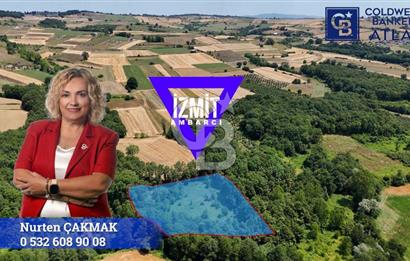 İZMİT AMBARCI'DA SATILIK 4285M2 TARLA