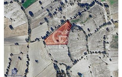 CB EAGLE’DAN DURSUNBEY ŞABANLAR’DA 5946 m2 
