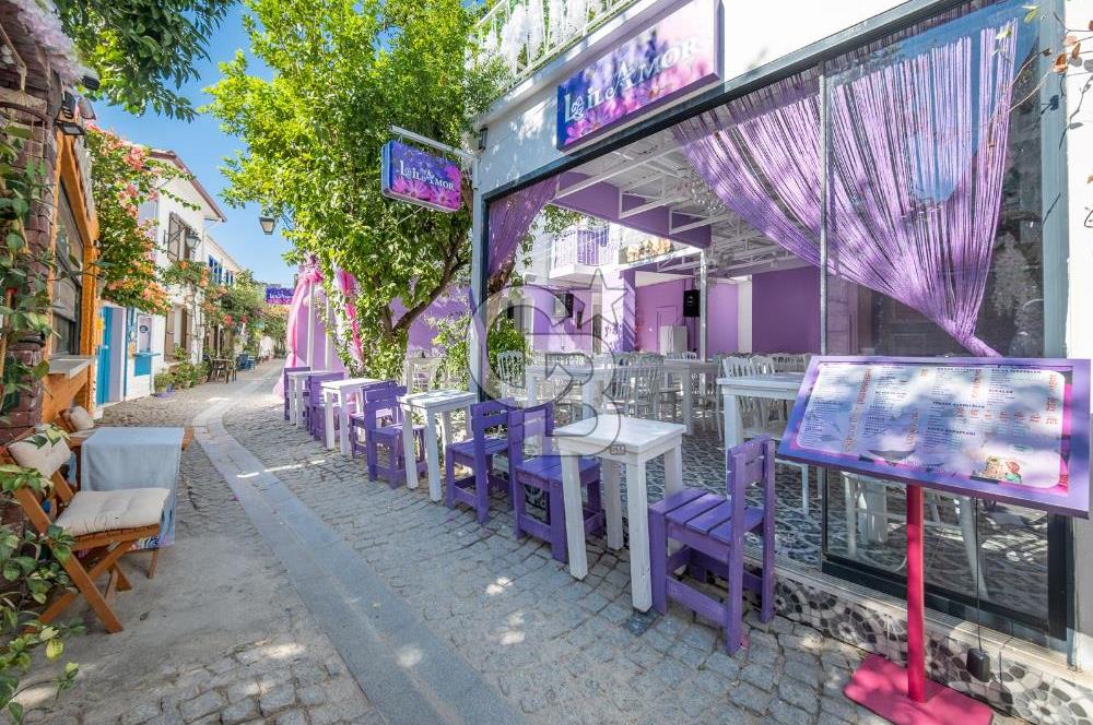 SEFERİHİSAR SIĞACIK KALEİÇİ SATILIK 6+2 MÜSTAKİL EV