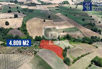 İZMİT YENİCE'DE SATILIK 4809M2 TARLA