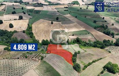 İZMİT YENİCE'DE SATILIK 4809M2 TARLA