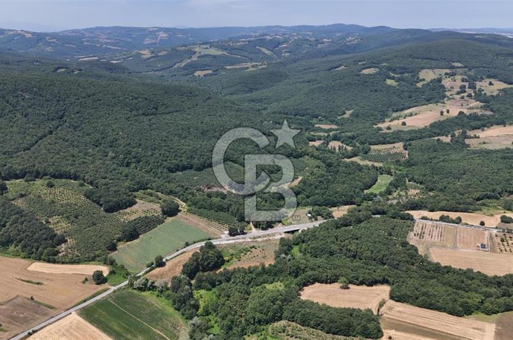 İZMİT AMBARCI'DA SATILIK 4285M2 TARLA