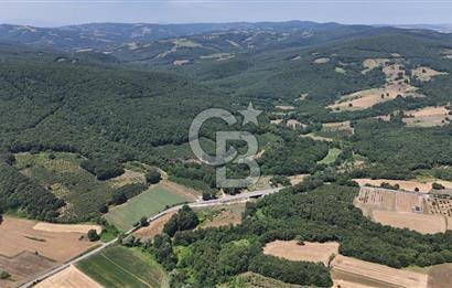 İZMİT AMBARCI'DA SATILIK 4285M2 TARLA