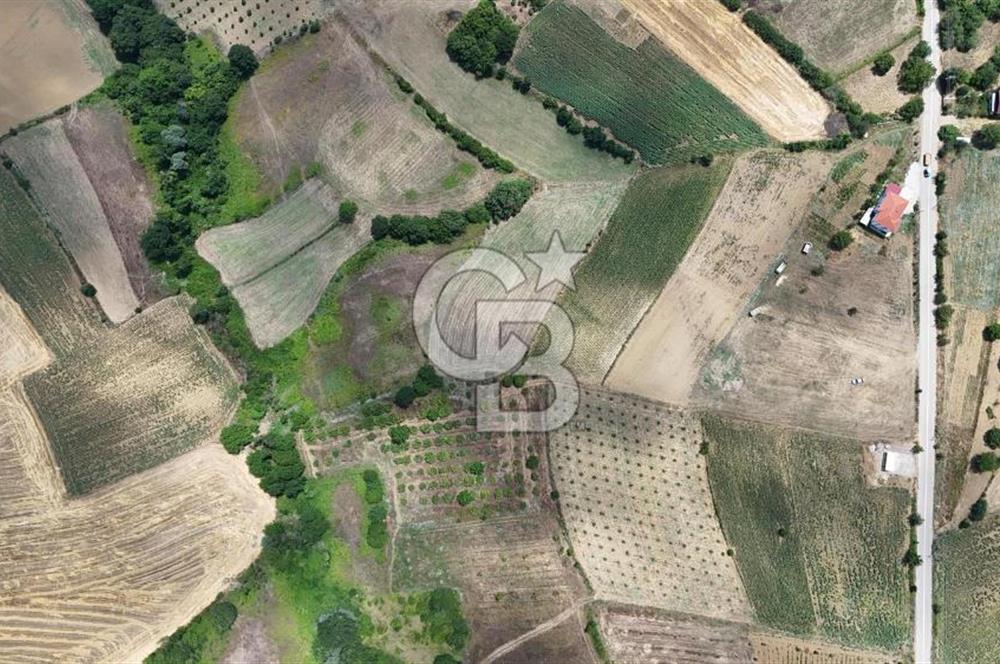 İZMİT YENİCE'DE SATILIK 4809M2 TARLA