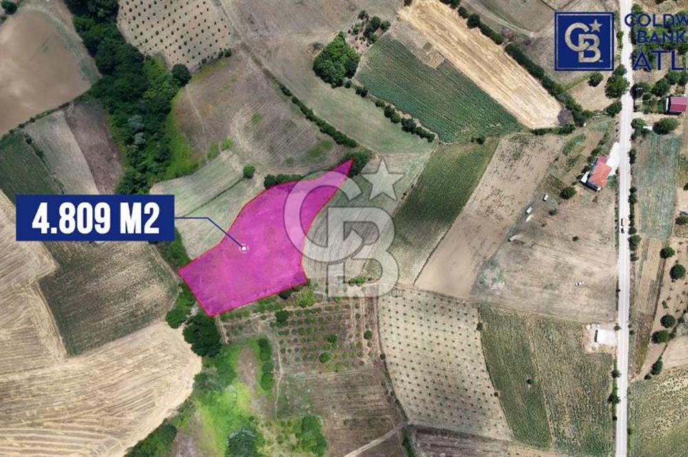 İZMİT YENİCE'DE SATILIK 4809M2 TARLA