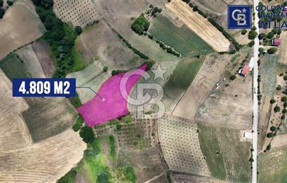 İZMİT YENİCE'DE SATILIK 4809M2 TARLA