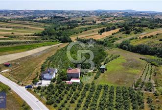 KANDIRA ŞEREFSUNGUR MAH SATILIK 11.466 M2 BAĞ EVİ VE TARLA