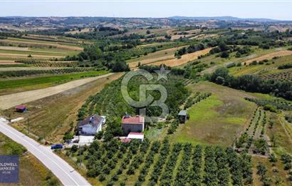 KANDIRA ŞEREFSUNGUR MAH SATILIK 11.466 M2 BAĞ EVİ VE TARLA