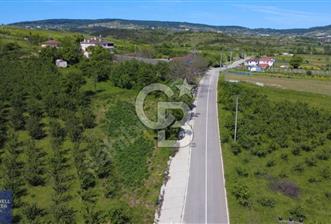 KANDIRA AKÇAOVA MAH ASFALT YOLA CEPHELİ 979 M2 SATILIK TARLA