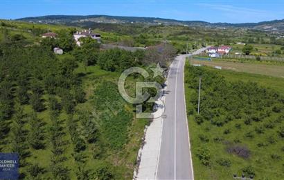 KANDIRA AKÇAOVA MAH ASFALT YOLA CEPHELİ 979 M2 SATILIK TARLA