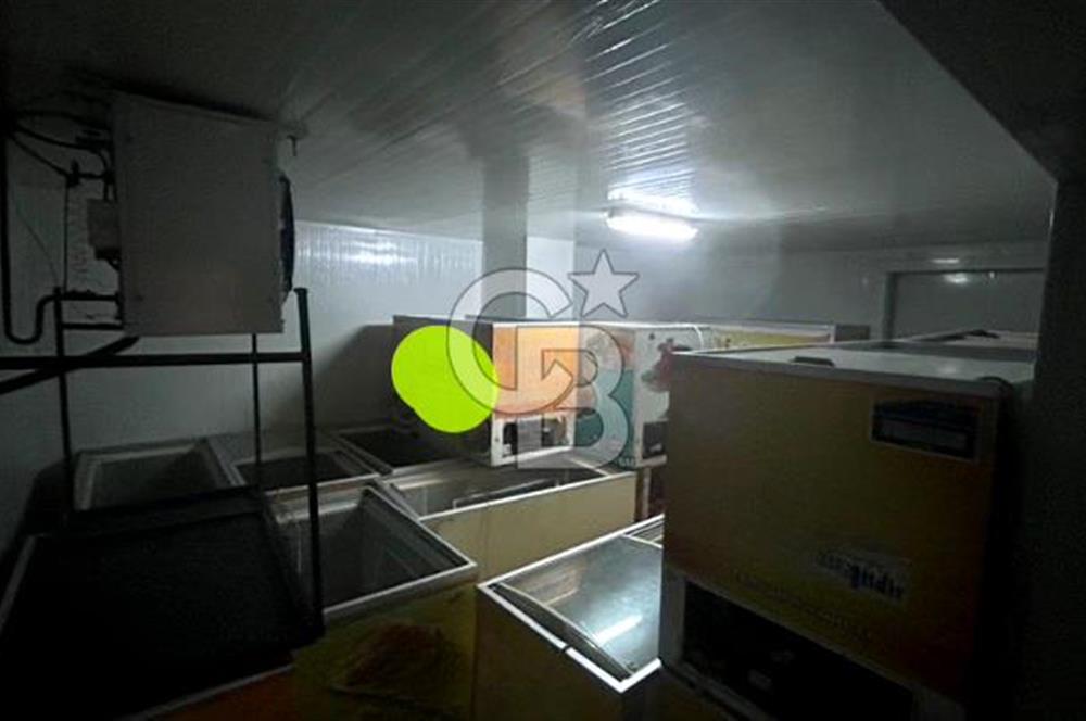 Devren Kiralık Soğuk Hava Deposu Donuk Tavuk Perakende Satış Fir