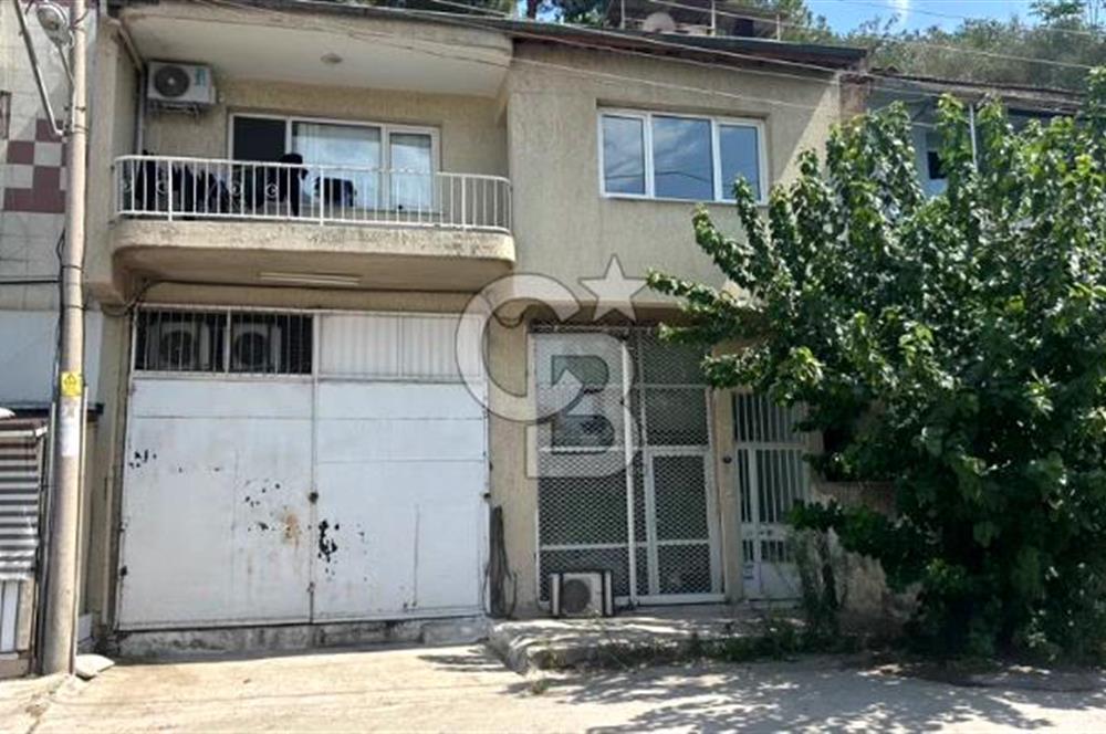 Devren Kiralık Soğuk Hava Deposu Donuk Tavuk Perakende Satış Fir