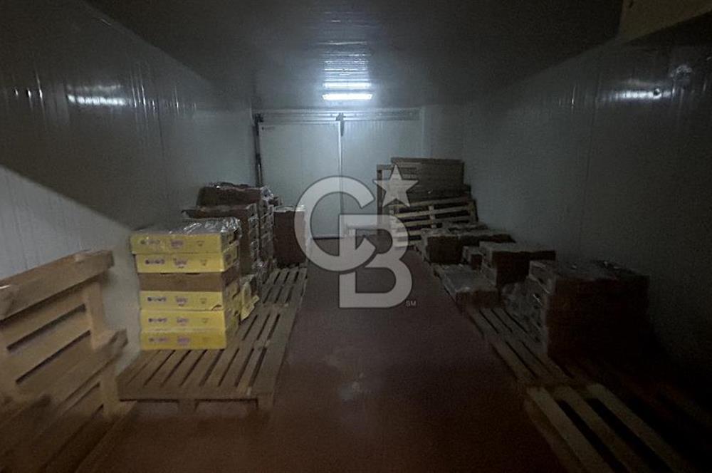 Devren Kiralık Soğuk Hava Deposu Donuk Tavuk Perakende Satış Fir