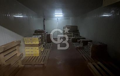 Devren Kiralık Soğuk Hava Deposu Donuk Tavuk Perakende Satış Fir