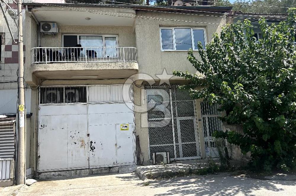 Devren Kiralık Soğuk Hava Deposu Donuk Tavuk Perakende Satış Fir