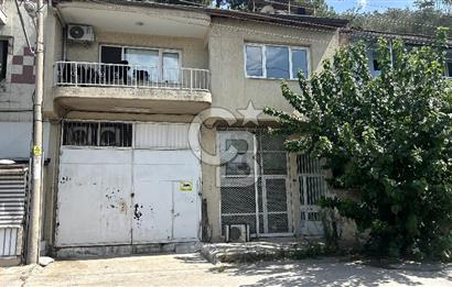 Devren Kiralık Soğuk Hava Deposu Donuk Tavuk Perakende Satış Fir