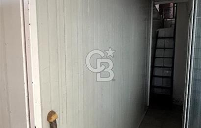Devren Kiralık Soğuk Hava Deposu Donuk Tavuk Perakende Satış Fir