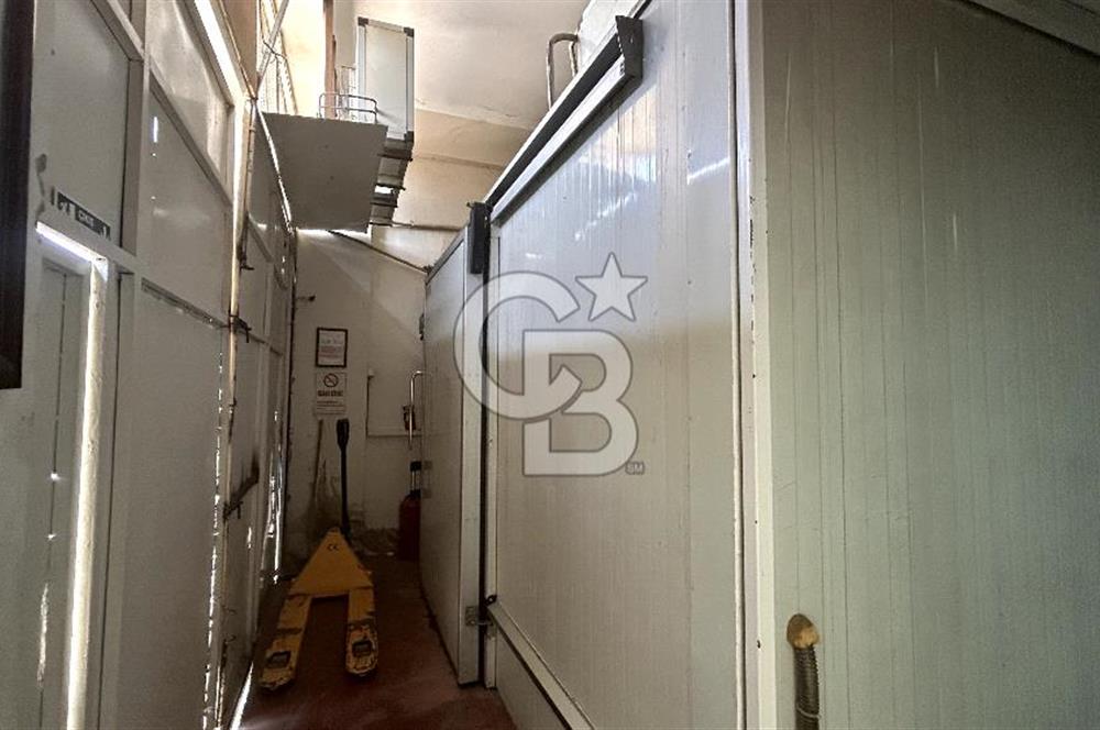 Devren Kiralık Soğuk Hava Deposu Donuk Tavuk Perakende Satış Fir