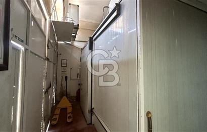 Devren Kiralık Soğuk Hava Deposu Donuk Tavuk Perakende Satış Fir