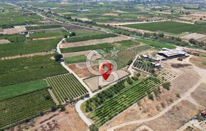 CB İYA' DAN MENEMEN DOĞA KÖY' DE SATILIK TEK TAPU KÖŞE TARLA
