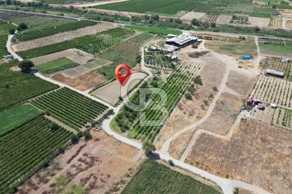 CB İYA' DAN MENEMEN DOĞA KÖY' DE SATILIK TEK TAPU KÖŞE TARLA