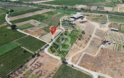 CB İYA' DAN MENEMEN DOĞA KÖY' DE SATILIK TEK TAPU KÖŞE TARLA