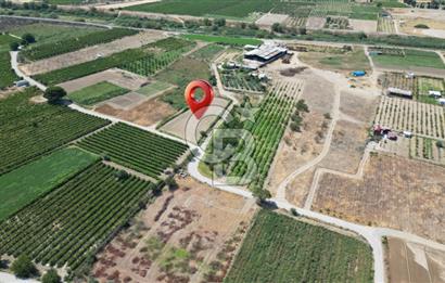 CB İYA' DAN MENEMEN DOĞA KÖY' DE SATILIK TEK TAPU KÖŞE TARLA