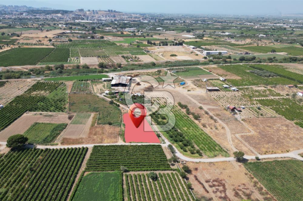 CB İYA' DAN MENEMEN DOĞA KÖY' DE SATILIK TEK TAPU KÖŞE TARLA