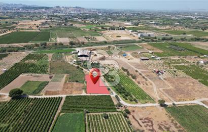 CB İYA' DAN MENEMEN DOĞA KÖY' DE SATILIK TEK TAPU KÖŞE TARLA