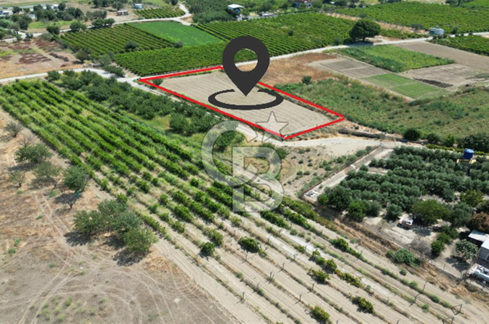 CB İYA' DAN MENEMEN DOĞA KÖY' DE SATILIK TEK TAPU KÖŞE TARLA