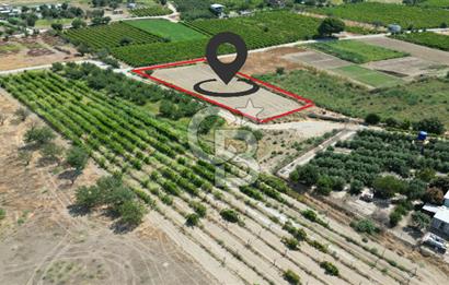 CB İYA' DAN MENEMEN DOĞA KÖY' DE SATILIK TEK TAPU KÖŞE TARLA
