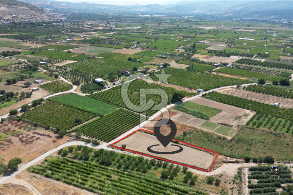 CB İYA' DAN MENEMEN DOĞA KÖY' DE SATILIK TEK TAPU KÖŞE TARLA