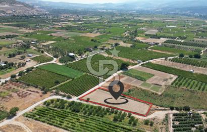 CB İYA' DAN MENEMEN DOĞA KÖY' DE SATILIK TEK TAPU KÖŞE TARLA