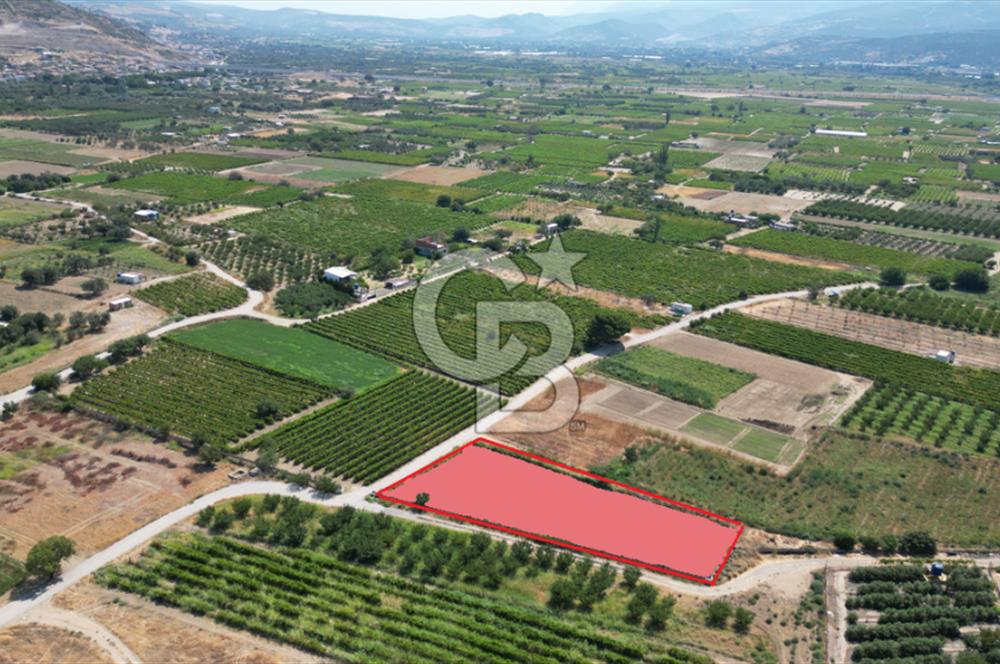 CB İYA' DAN MENEMEN DOĞA KÖY' DE SATILIK TEK TAPU KÖŞE TARLA