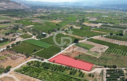 CB İYA' DAN MENEMEN DOĞA KÖY' DE SATILIK TEK TAPU KÖŞE TARLA