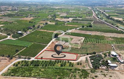 CB İYA' DAN MENEMEN DOĞA KÖY' DE SATILIK TEK TAPU KÖŞE TARLA