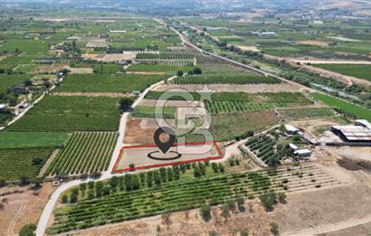 CB İYA' DAN MENEMEN DOĞA KÖY' DE SATILIK TEK TAPU KÖŞE TARLA