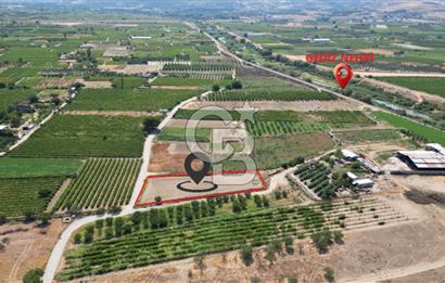 CB İYA' DAN MENEMEN DOĞA KÖY' DE SATILIK TEK TAPU KÖŞE TARLA