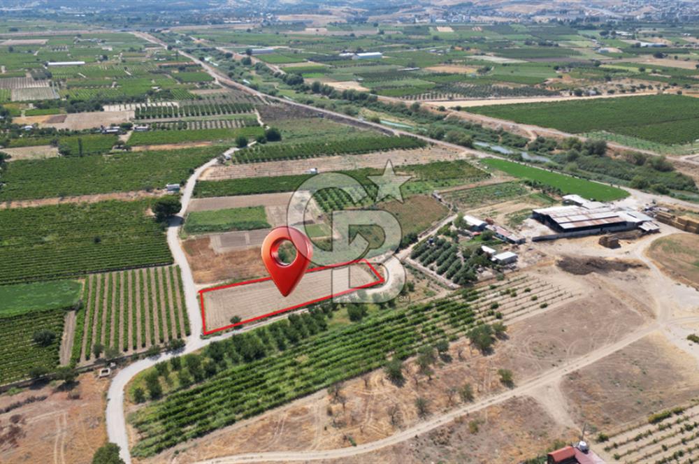 CB İYA' DAN MENEMEN DOĞA KÖY' DE SATILIK TEK TAPU KÖŞE TARLA